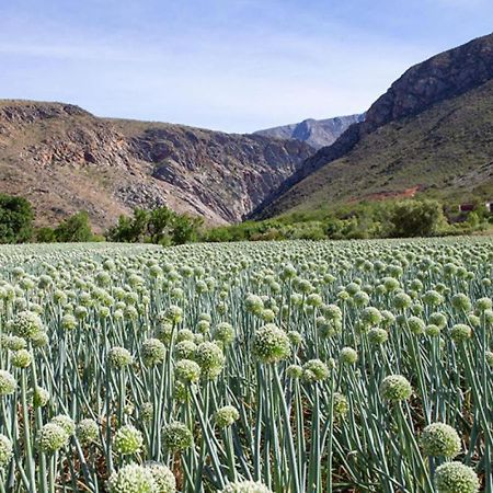 Varkenskraal Farm De Rust Ngoại thất bức ảnh